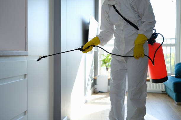 Mold Testing and Removal in Shadyside, OH
